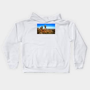 Cute Pictures Of Rocky Area Kids Hoodie